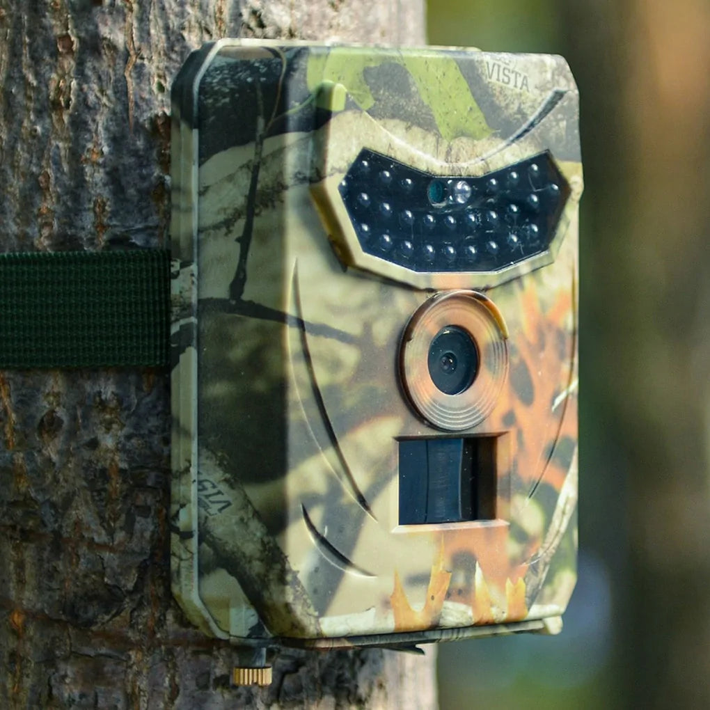 Night Vision Trail Wildlife Camera^