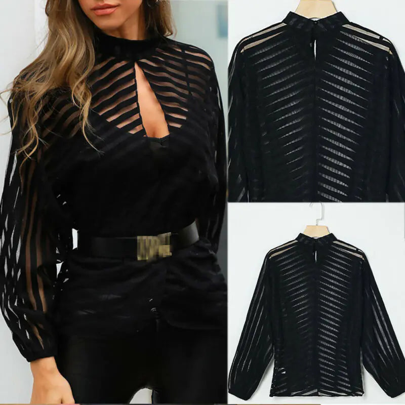 Mesh Net Long Sleeve Blouse 