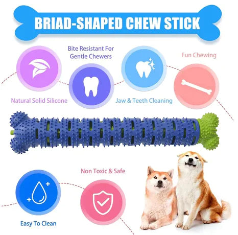 Dog Tooth Cleaning